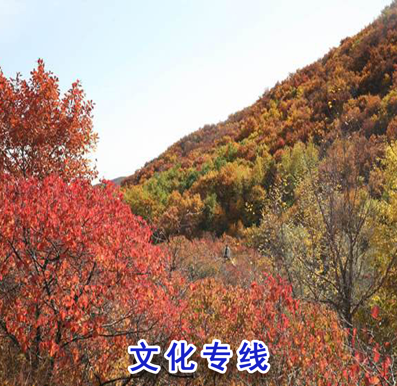 香山|圆明园|清华大学|北京大学|万寿寺|恭王府